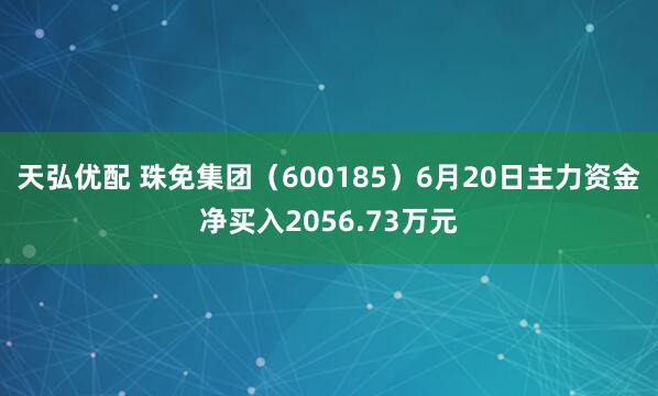 天弘优配 珠免集团（600185）6月20日主力资金净买入2056.73万元