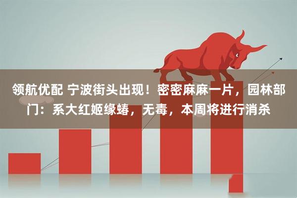 领航优配 宁波街头出现！密密麻麻一片，园林部门：系大红姬缘蝽，无毒，本周将进行消杀